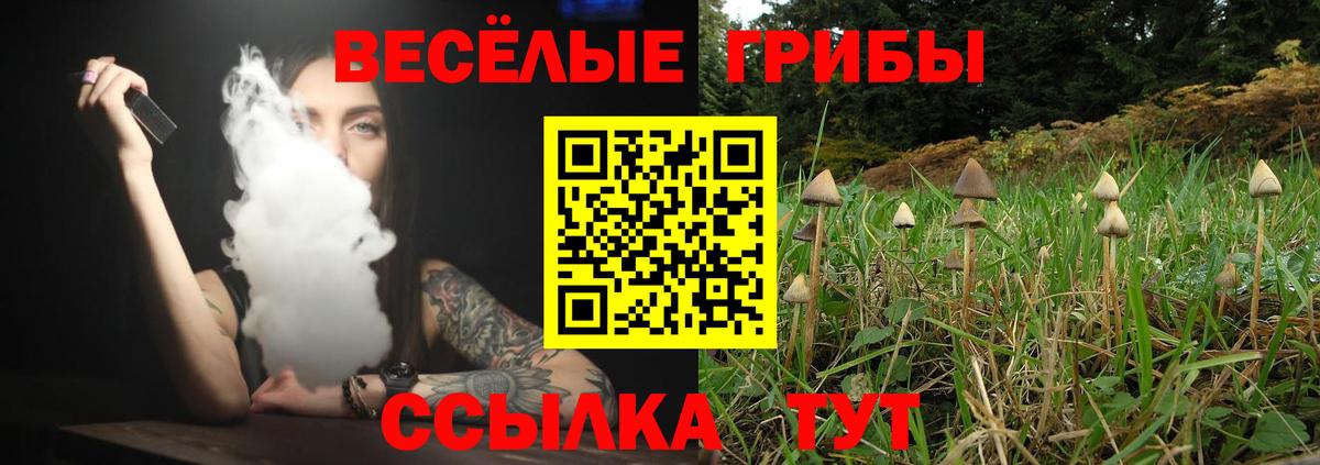 Псилоцибиновые грибы Magic Shrooms  Вход с VPN  Елабуга 